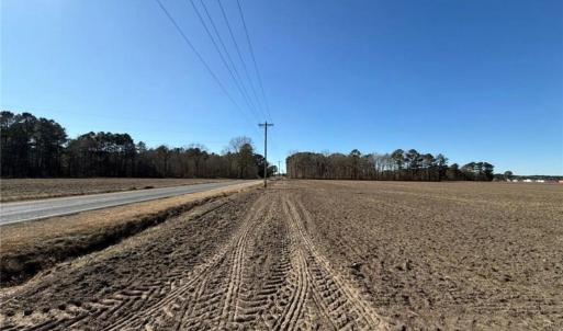 Photo #11 of Hammonds, Lumberton, NC 74.1 acres