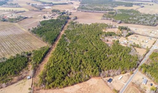 Photo #8 of Hammonds, Lumberton, NC 74.1 acres