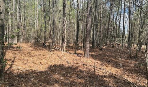 Photo #2 of Lot 7 Thompson, Seagrove, NC 10.3 acres