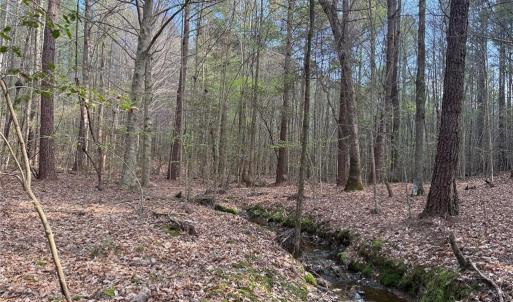 Photo #13 of Lot 7 Thompson, Seagrove, NC 10.3 acres