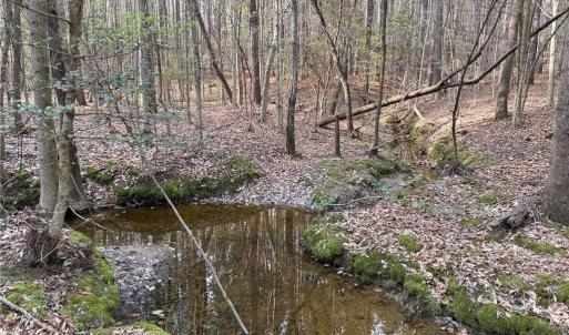 Photo #12 of Lot 7 Thompson, Seagrove, NC 10.3 acres