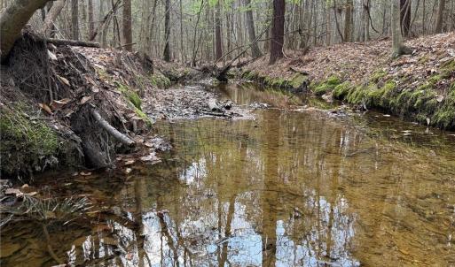 Photo #7 of Lot 7 Thompson, Seagrove, NC 10.3 acres