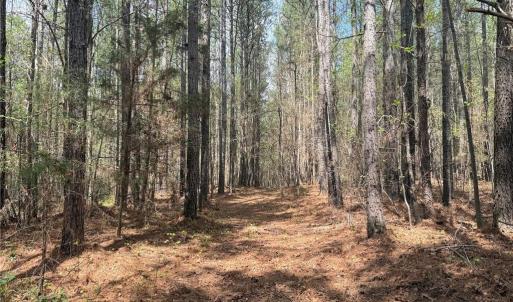 Photo #3 of Lot 7 Thompson, Seagrove, NC 10.3 acres