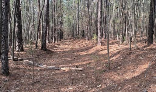 Photo #5 of Lot 7 Thompson, Seagrove, NC 10.3 acres