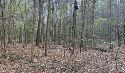 Photo #9 of Lot 7 Thompson, Seagrove, NC 10.3 acres