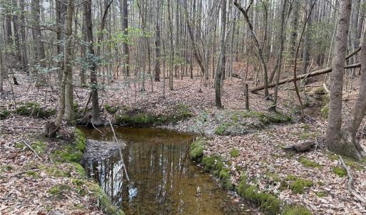 Photo #10 of Lot 7 Thompson, Seagrove, NC 10.3 acres