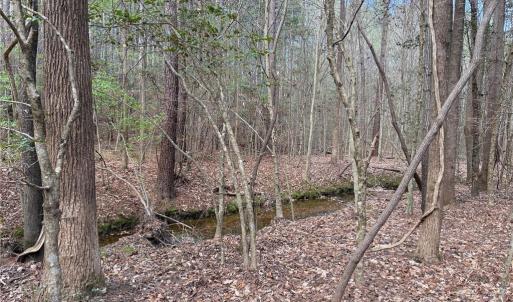 Photo #11 of Lot 7 Thompson, Seagrove, NC 10.3 acres