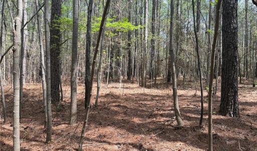 Photo #4 of Lot 7 Thompson, Seagrove, NC 10.3 acres