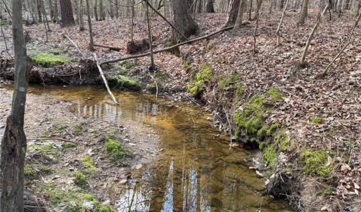 Photo #8 of Lot 7 Thompson, Seagrove, NC 10.3 acres