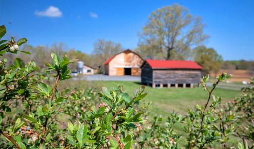 Photo #34 of 32286 Laton, Albemarle, NC 54.0 acres