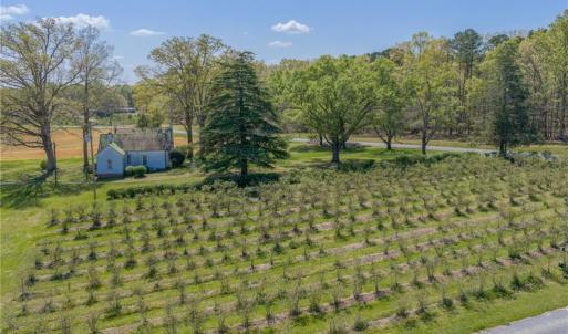 Photo #33 of 32286 Laton, Albemarle, NC 54.0 acres