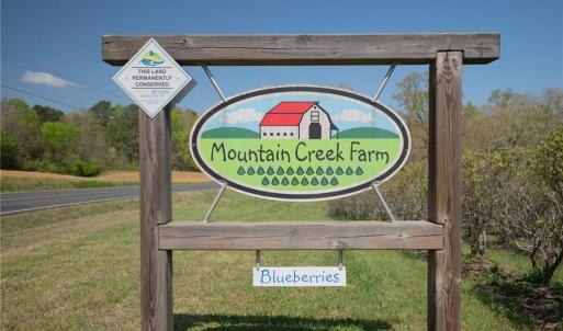 Photo #4 of 32286 Laton, Albemarle, NC 54.0 acres