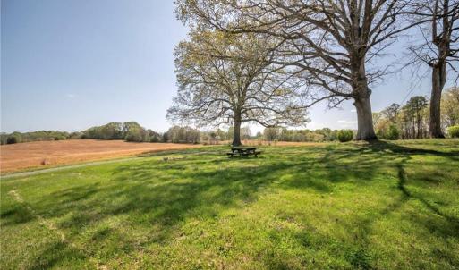 Backyard views from historic farmhouse