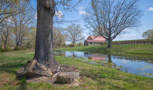 Pond with dock