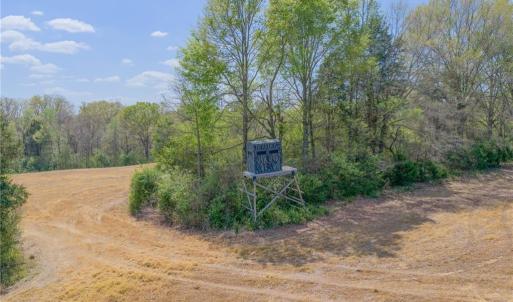 Deer, turkey, and wildlife roam the property