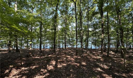 Photo #6 of 1768 Rocky Cove, Denton, NC 3.0 acres