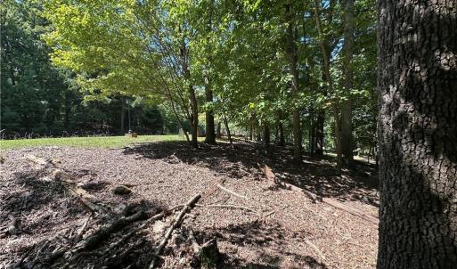 Photo #5 of 1768 Rocky Cove, Denton, NC 3.0 acres