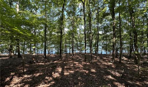 Photo #6 of 1768 Rocky Cove, Denton, NC 3.0 acres