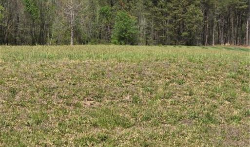 Photo #2 of 8342 Harrell, Oak Ridge, NC 0.7 acres