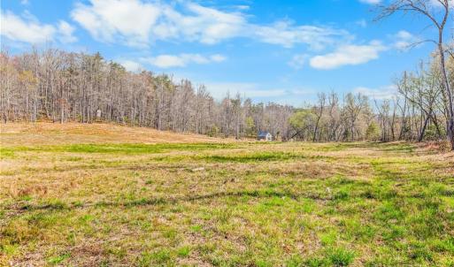 2.5 acre field behind cabin