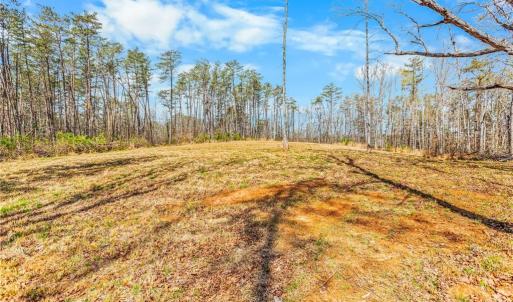 1 acre field at highest part of property. It has long range views of mountains.