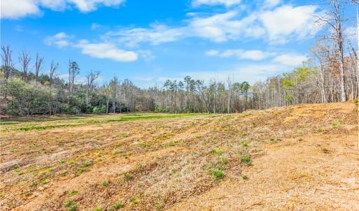 2.5 acre field behind cabin