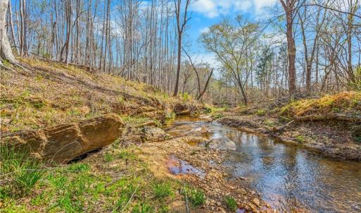 Photo #1 of Farm, Pilot Mountain, NC 33.1 acres
