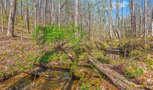 Photo #10 of Farm, Pilot Mountain, NC 33.1 acres