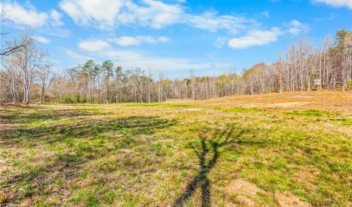2.5 acre field behind cabin