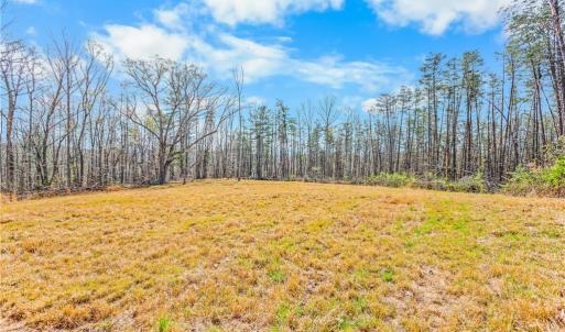 1 acre field at highest part of property. It has long range views of mountains.