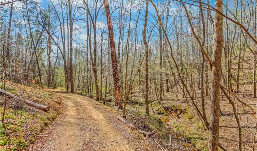 Photo #15 of Farm, Pilot Mountain, NC 33.1 acres