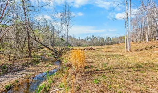 2.5 acre field behind cabin