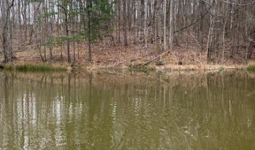 Photo #1 of 686 Bennett, Stoneville, NC 43.9 acres