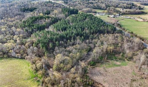 Photo #6 of NC Highway 109, High Point, NC 22.9 acres