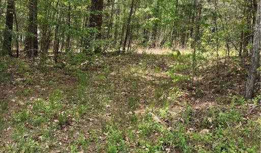 Photo #2 of Clyde King, Seagrove, NC 24.4 acres