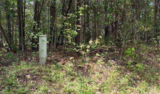 Photo #3 of Clyde King, Seagrove, NC 24.4 acres