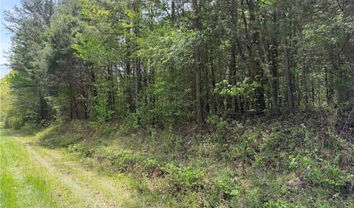Photo #1 of Clyde King, Seagrove, NC 24.4 acres