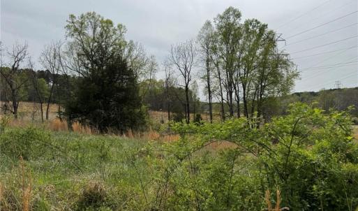 Photo #23 of 6988 Salem Chapel, Walnut Cove, NC 62.6 acres