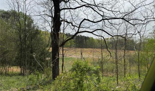 Photo #27 of 6988 Salem Chapel, Walnut Cove, NC 62.6 acres