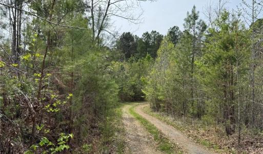 Photo #2 of 6988 Salem Chapel, Walnut Cove, NC 62.6 acres