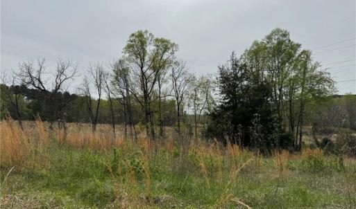 Photo #16 of 6988 Salem Chapel, Walnut Cove, NC 62.6 acres