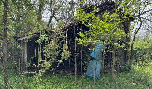 Photo #12 of 6988 Salem Chapel, Walnut Cove, NC 62.6 acres