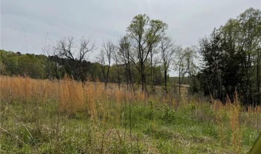 Photo #26 of 6988 Salem Chapel, Walnut Cove, NC 62.6 acres