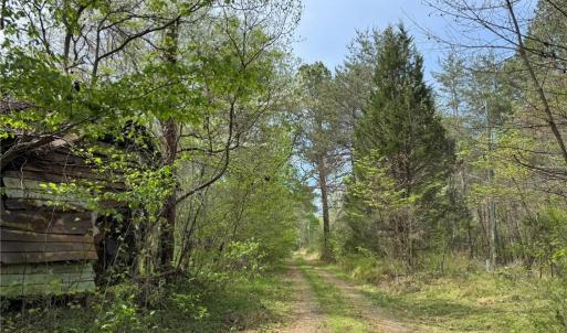 Photo #7 of 6988 Salem Chapel, Walnut Cove, NC 62.6 acres