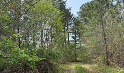 Photo #3 of 6988 Salem Chapel, Walnut Cove, NC 62.6 acres