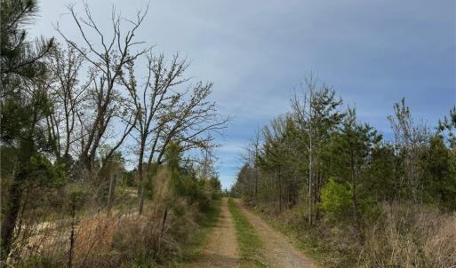 Photo #1 of 6988 Salem Chapel, Walnut Cove, NC 62.6 acres