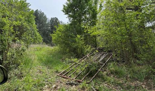 Photo #28 of 6988 Salem Chapel, Walnut Cove, NC 62.6 acres