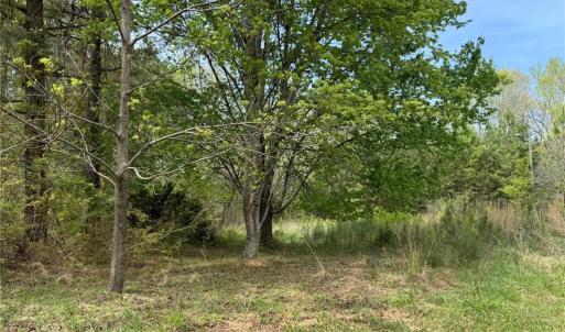 Photo #5 of 6988 Salem Chapel, Walnut Cove, NC 62.6 acres