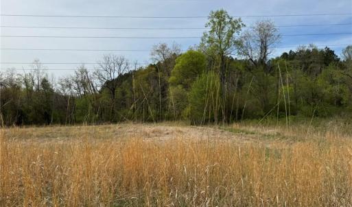 Photo #20 of 6988 Salem Chapel, Walnut Cove, NC 62.6 acres