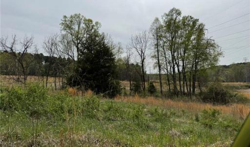 Photo #24 of 6988 Salem Chapel, Walnut Cove, NC 62.6 acres